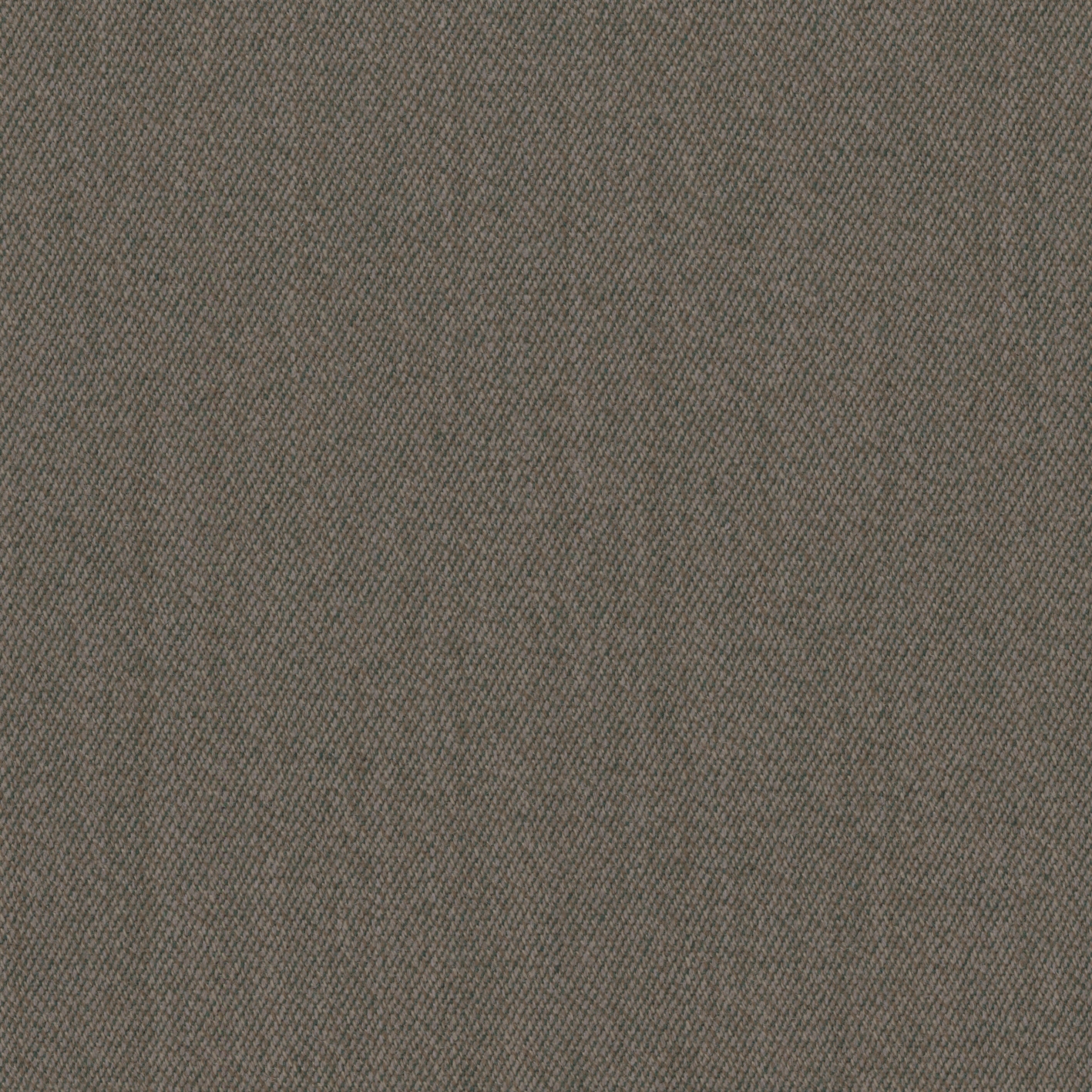 46555