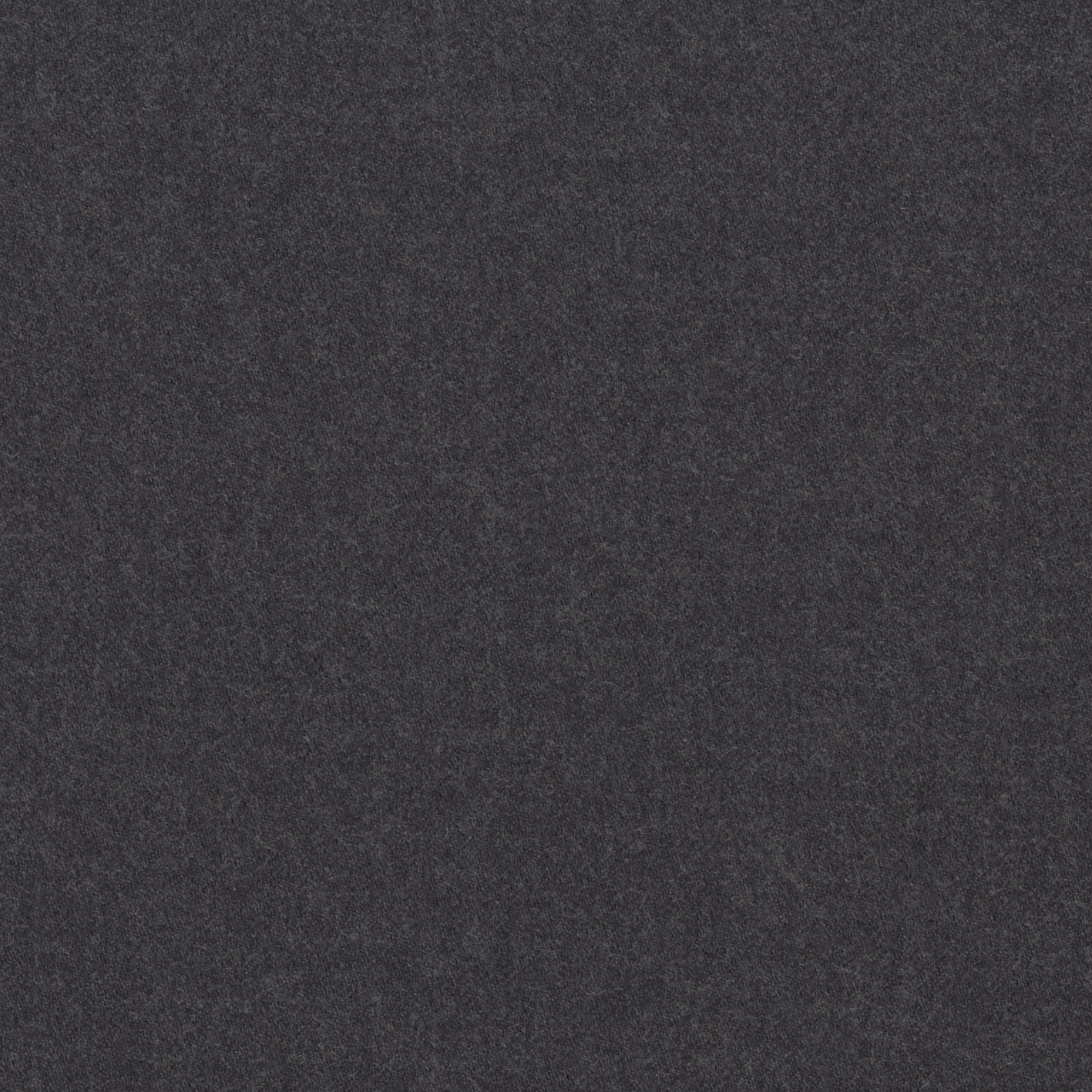 46561