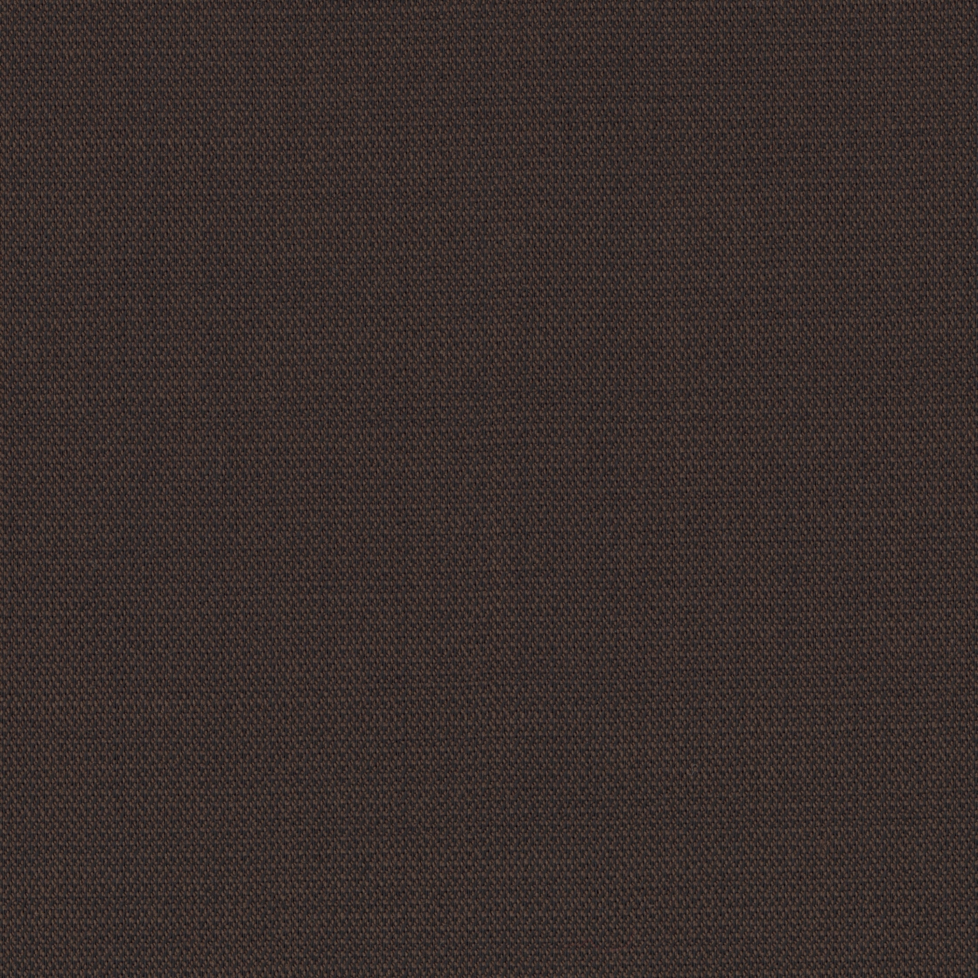 56445