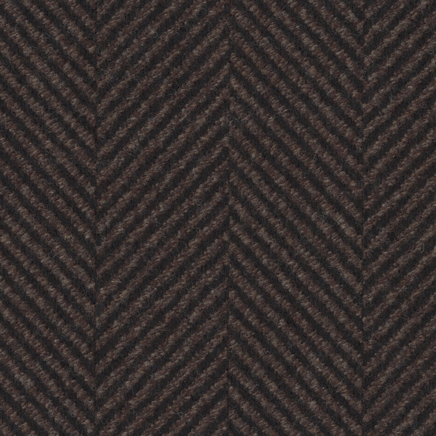 8006