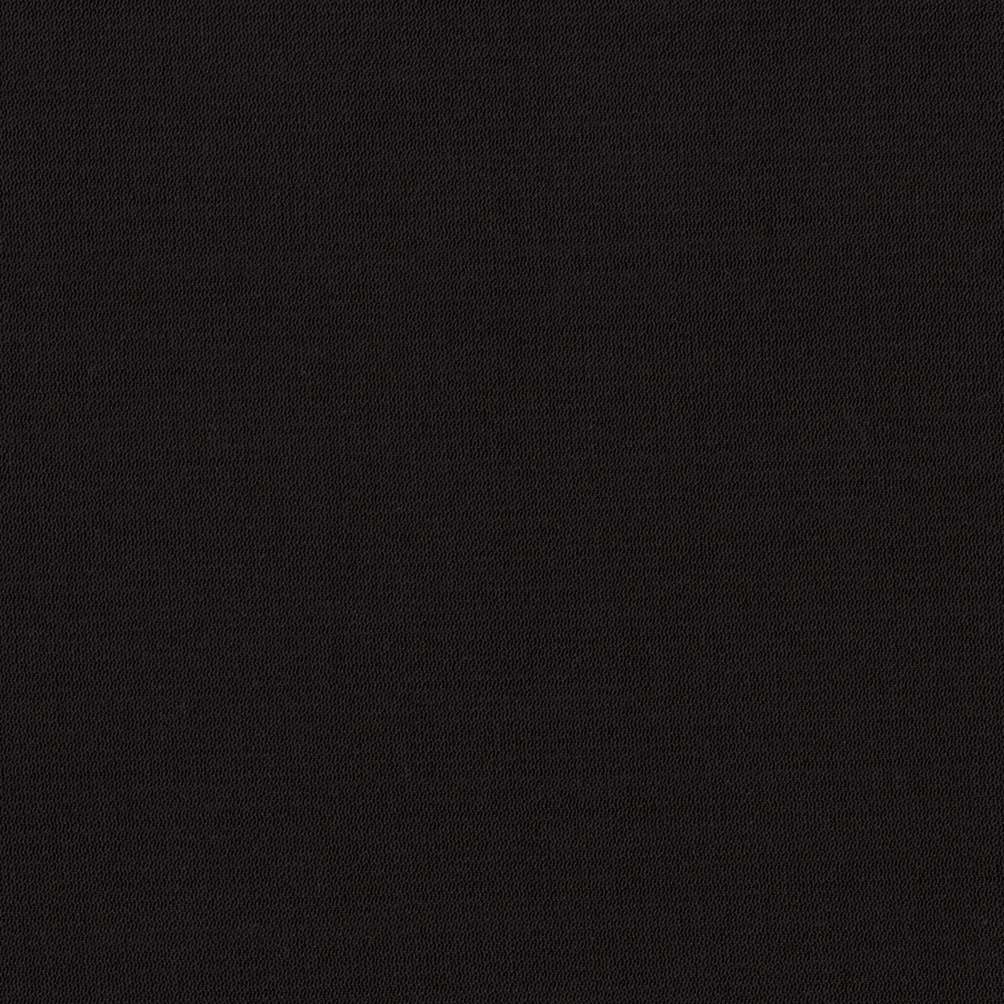 4041