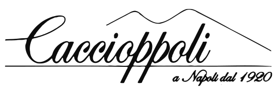 CACCIOPPOLI