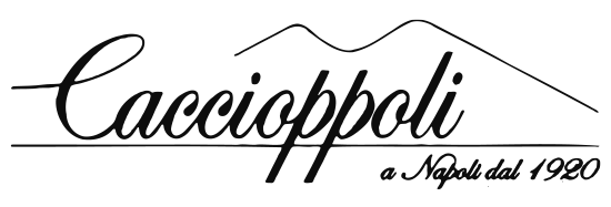 CACCIOPPOLI