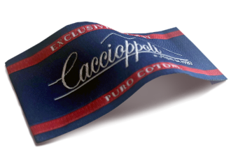 CACCIOPPOLI